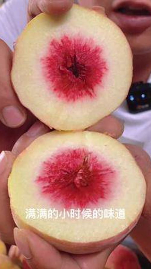賣水果，我們真是認真的